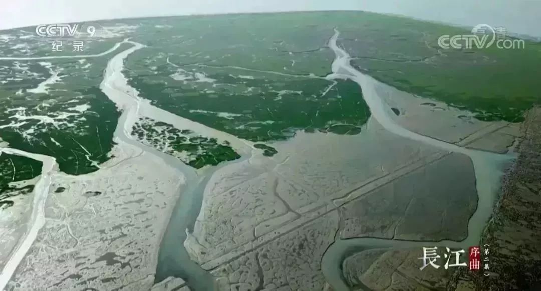 安貝斯<a href=http://www.anlpsonline.com target=_blank class=infotextkey>控制臺</a>